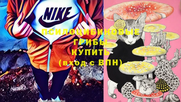 PSILOCYBIN Алексеевка