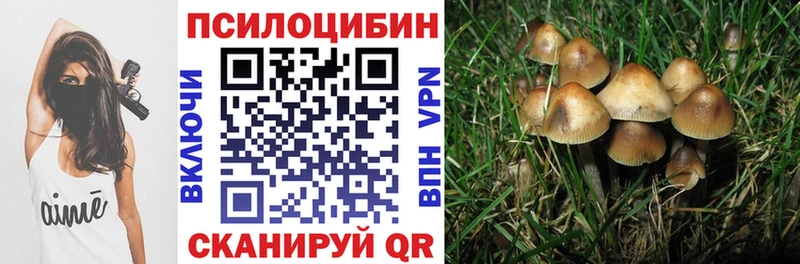 Купить где Дигора Галлюциногенные грибы Cubensis
