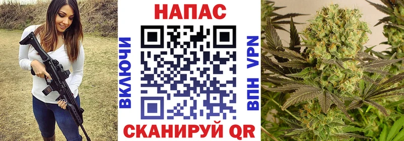 Купить где  Дигора  Бошки марихуана план 